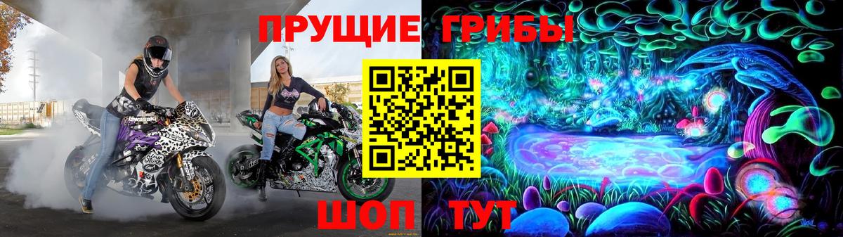 Галлюциногенные грибы Cubensis  Вход с VPN  Вязьма 